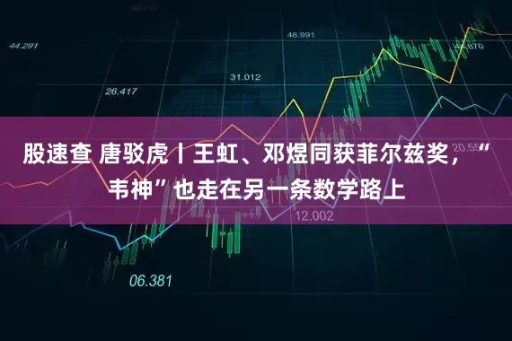 股速查 唐驳虎丨王虹、邓煜同获菲尔兹奖，“韦神”也走在另一条数学路上